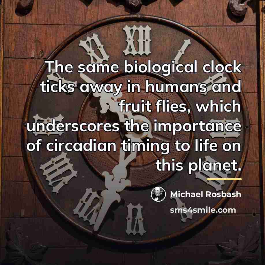 “The same biological clock ticks away in humans and fruit…” quote by Michael Rosbash