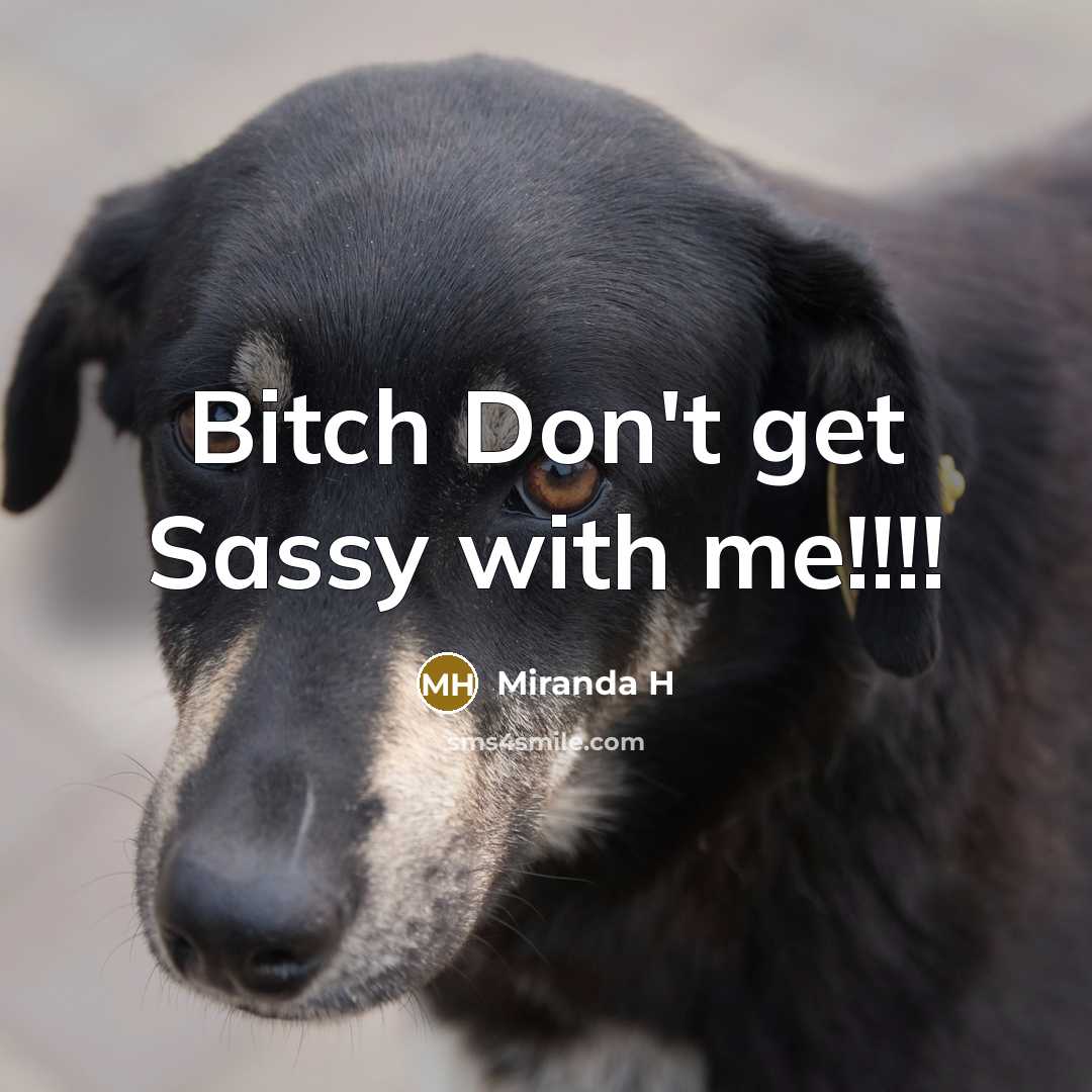 “Bitch Don't get Sassy with me!!!!…” quote by Miranda H