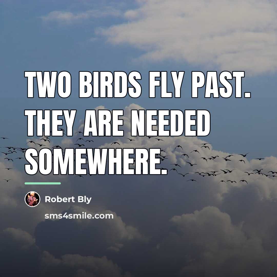 “Two birds fly past. They are needed somewhere.…” quote by Robert Bly