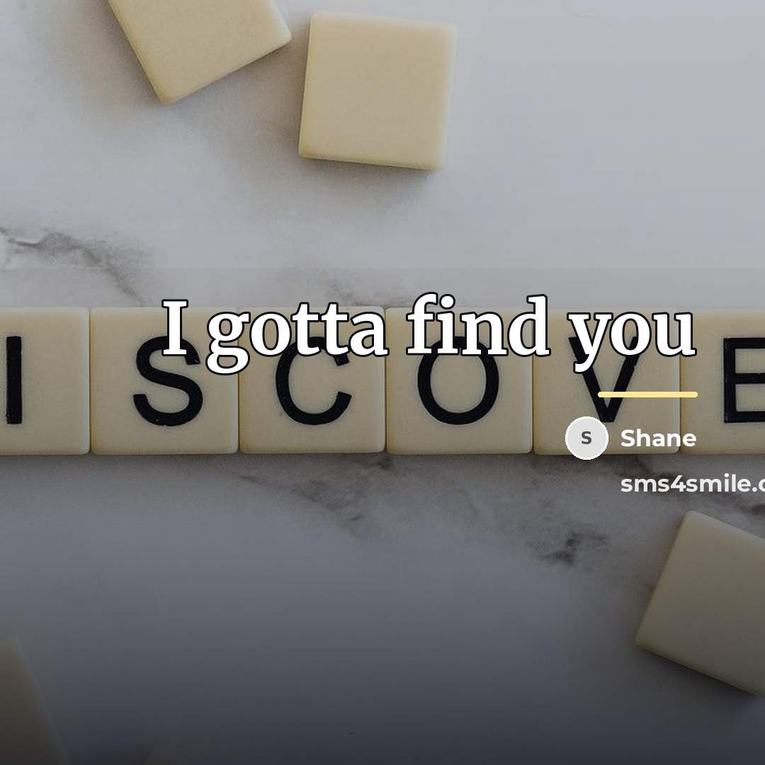 “I gotta find you…” quote by Shane