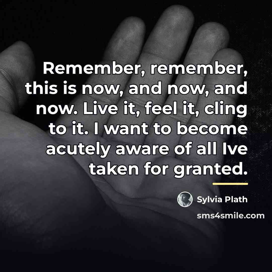 “Remember, remember, this is now, and now, and now. Live…” quote by Sylvia Plath