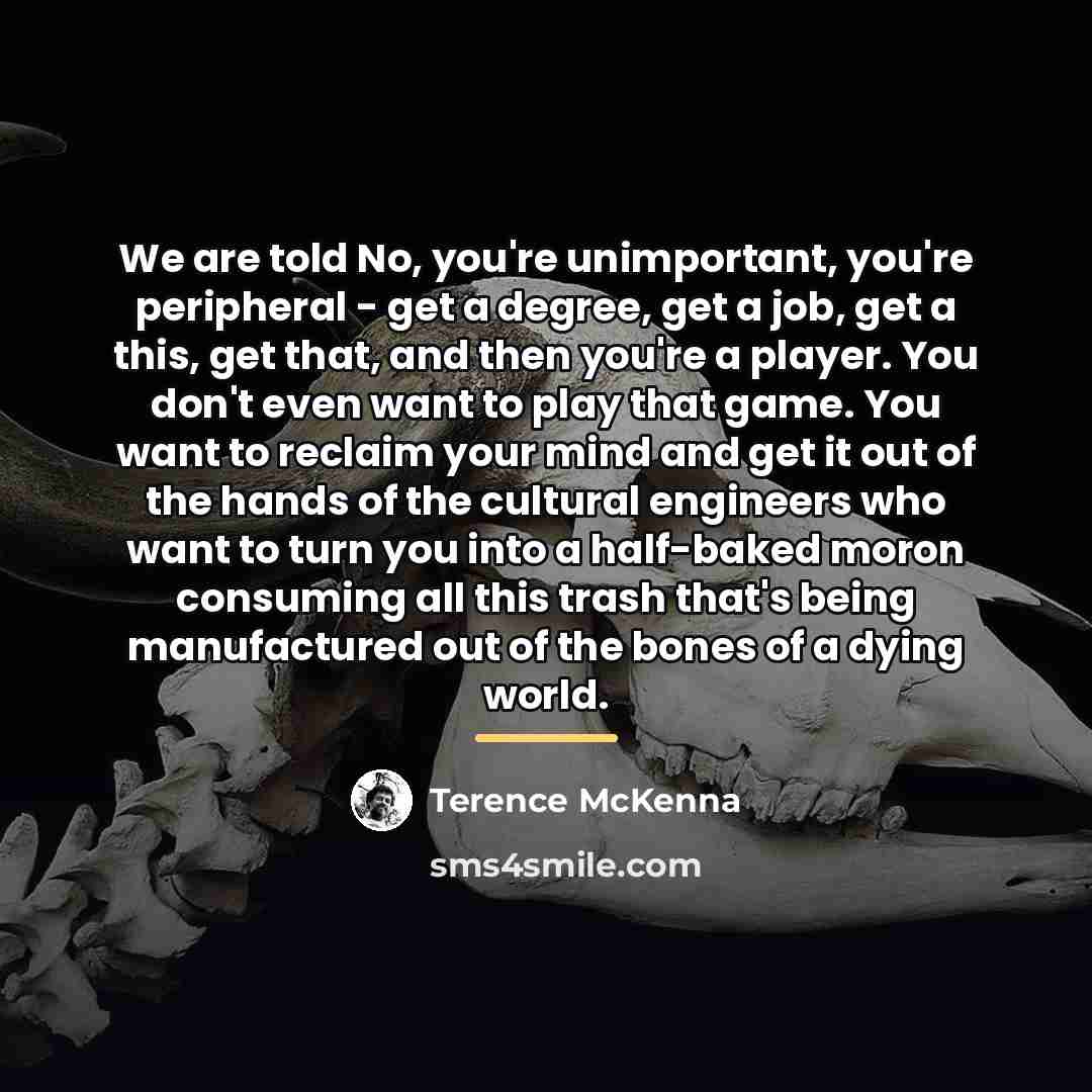 “We are told No, you're unimportant, you're peripheral - get…” quote by Terence McKenna