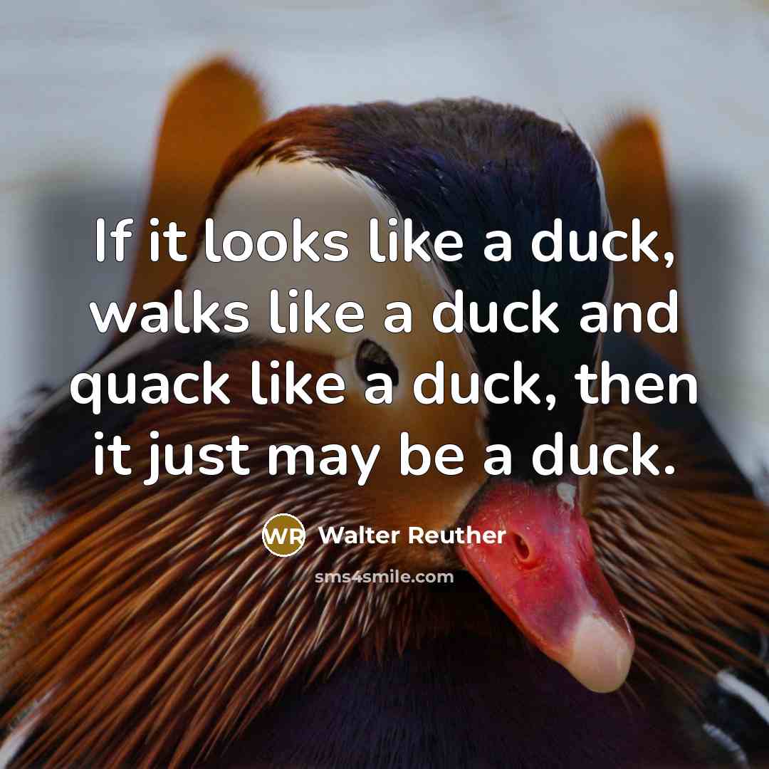 “If it looks like a duck, walks like a duck…” quote by Walter Reuther
