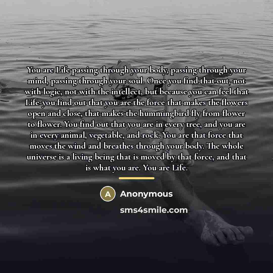 “You are Life passing through your body, passing through your…” quote by Anonymous