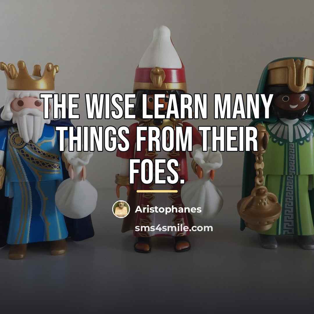 “The wise learn many things from their foes.…” quote by Aristophanes