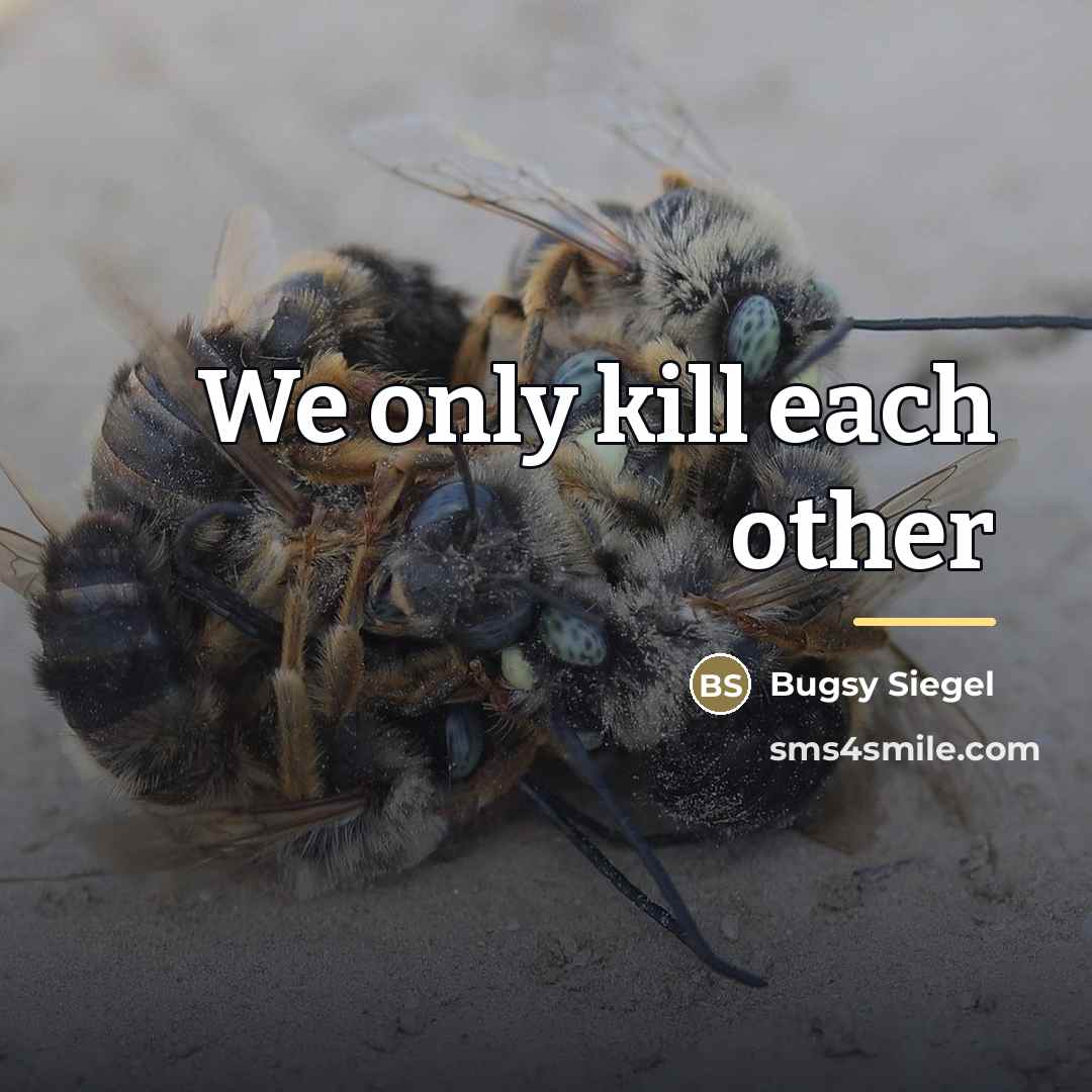 “We only kill each other…” quote by Bugsy Siegel