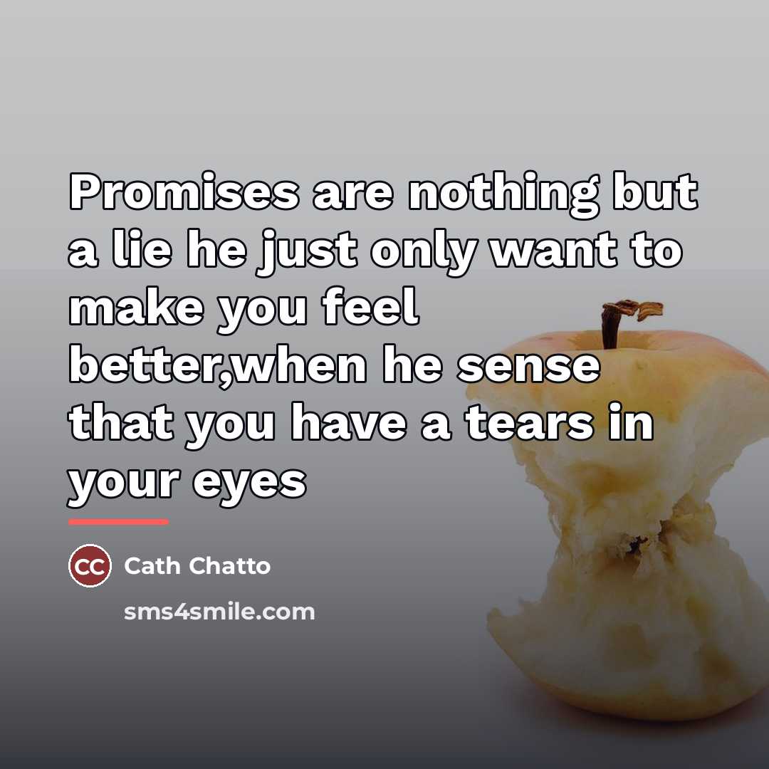 “Promises are nothing but a lie he just only want…” quote by Cath Chatto