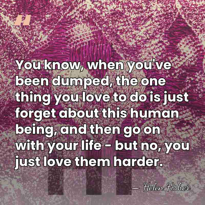 You know, when you've been dumped, the one thing you love to&hellip; - Helen Fisher