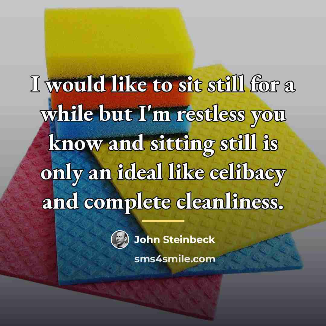 “I would like to sit still for a while but…” quote by John Steinbeck