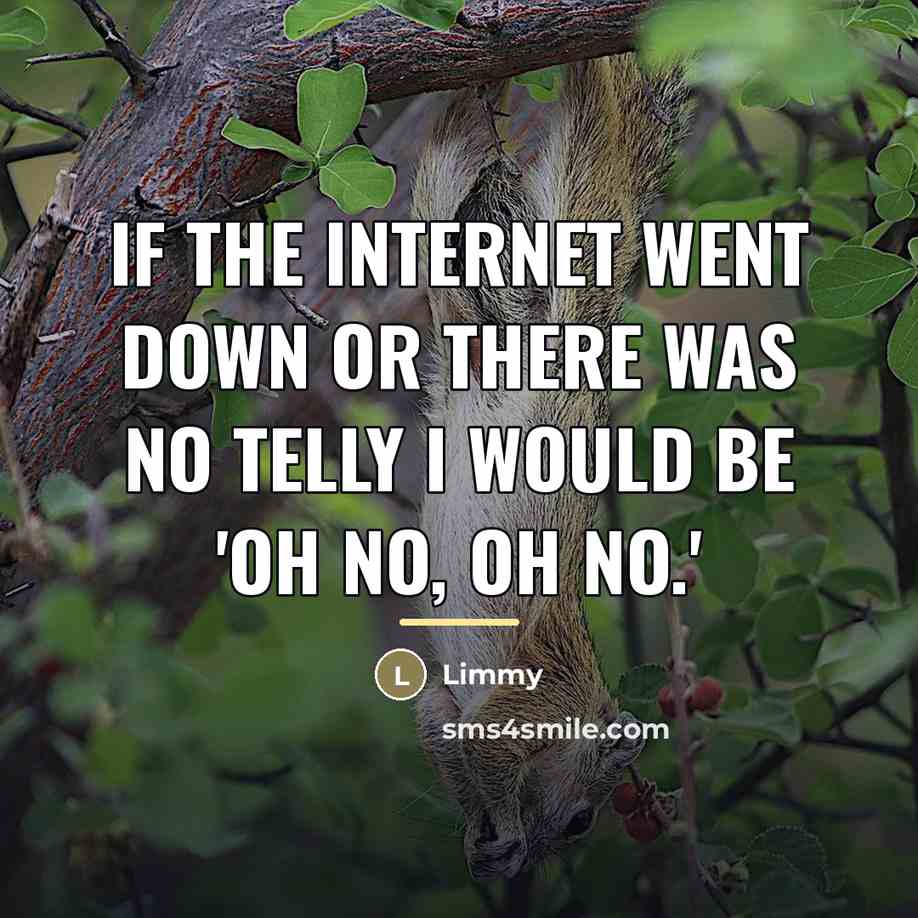 “If the Internet went down or there was no telly…” quote by Limmy