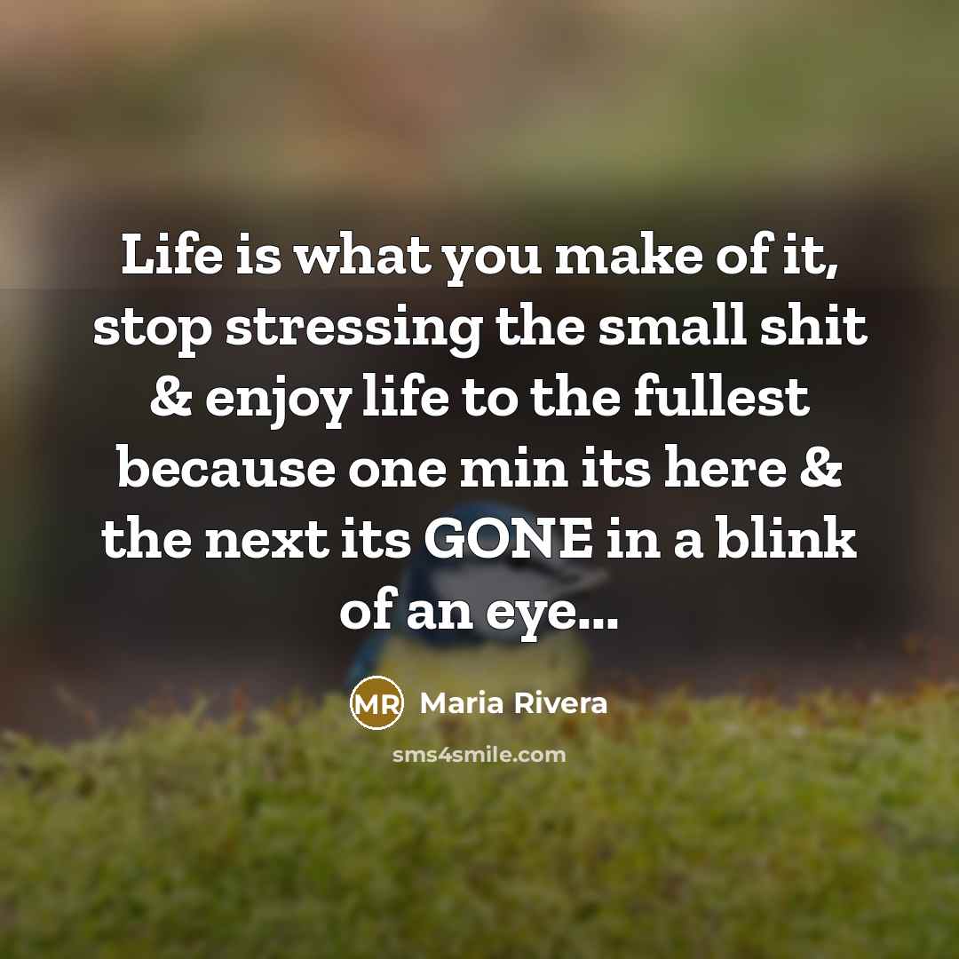 “Life is what you make of it, stop stressing the…” quote by Maria Rivera