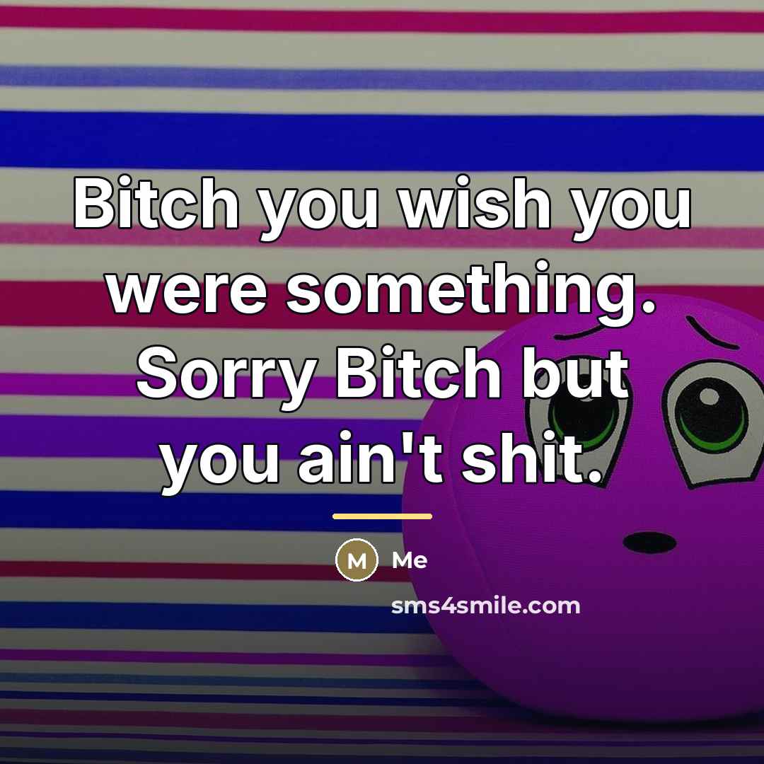 “Bitch you wish you were something. Sorry Bitch but you…” quote by Me
