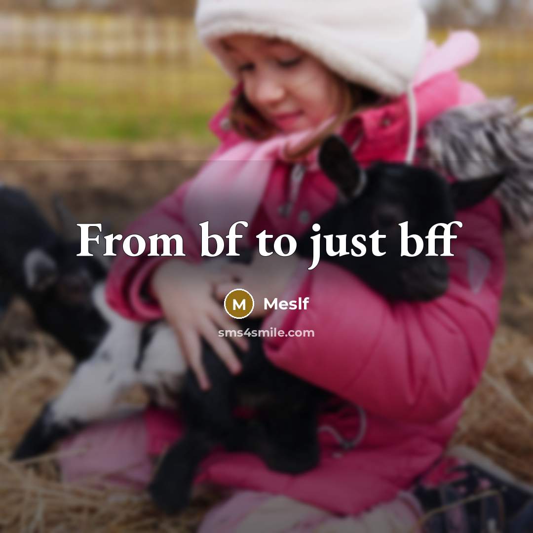 “From bf to just bff…” quote by Meslf