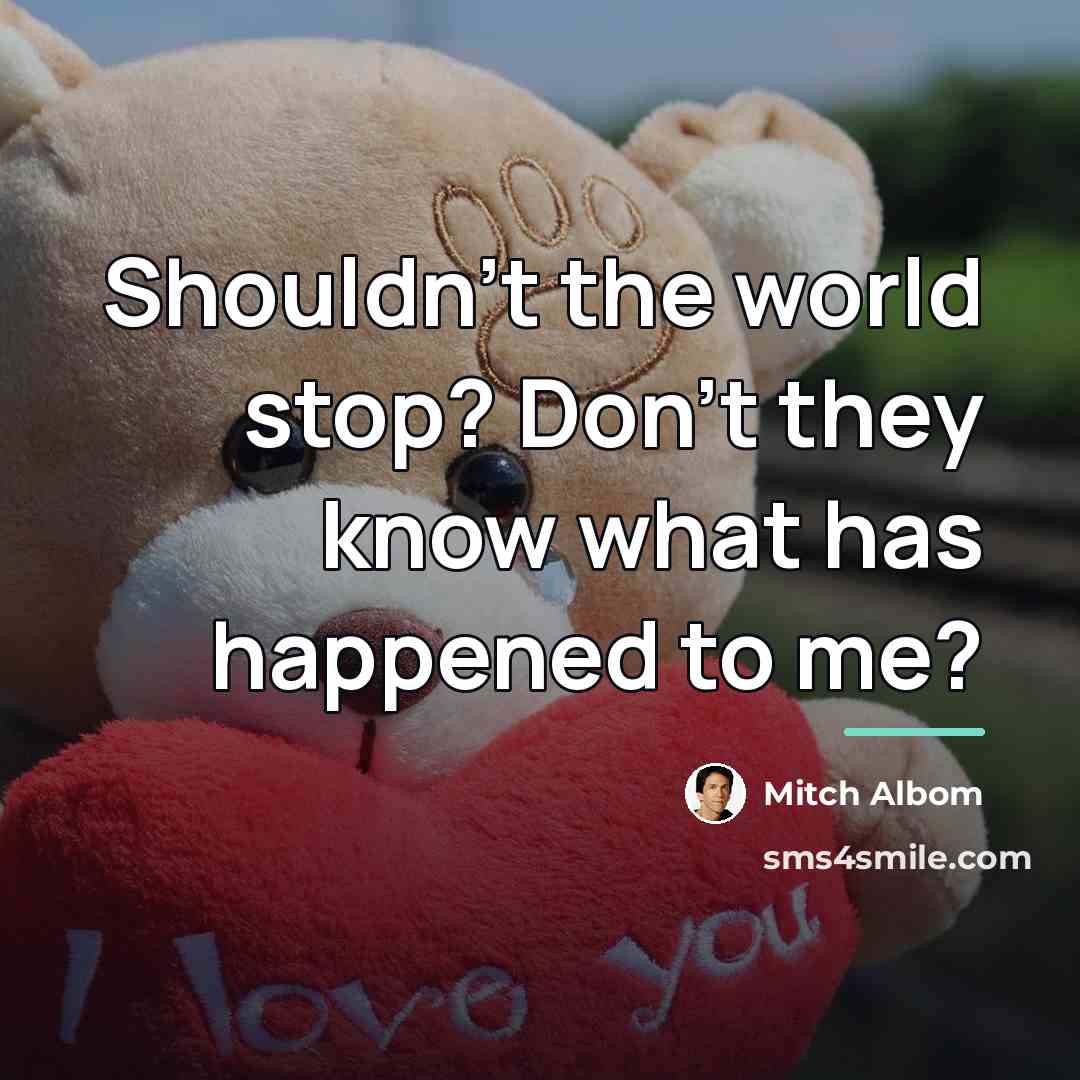 “Shouldn't the world stop? Don't they know what has happened…” quote by Mitch Albom