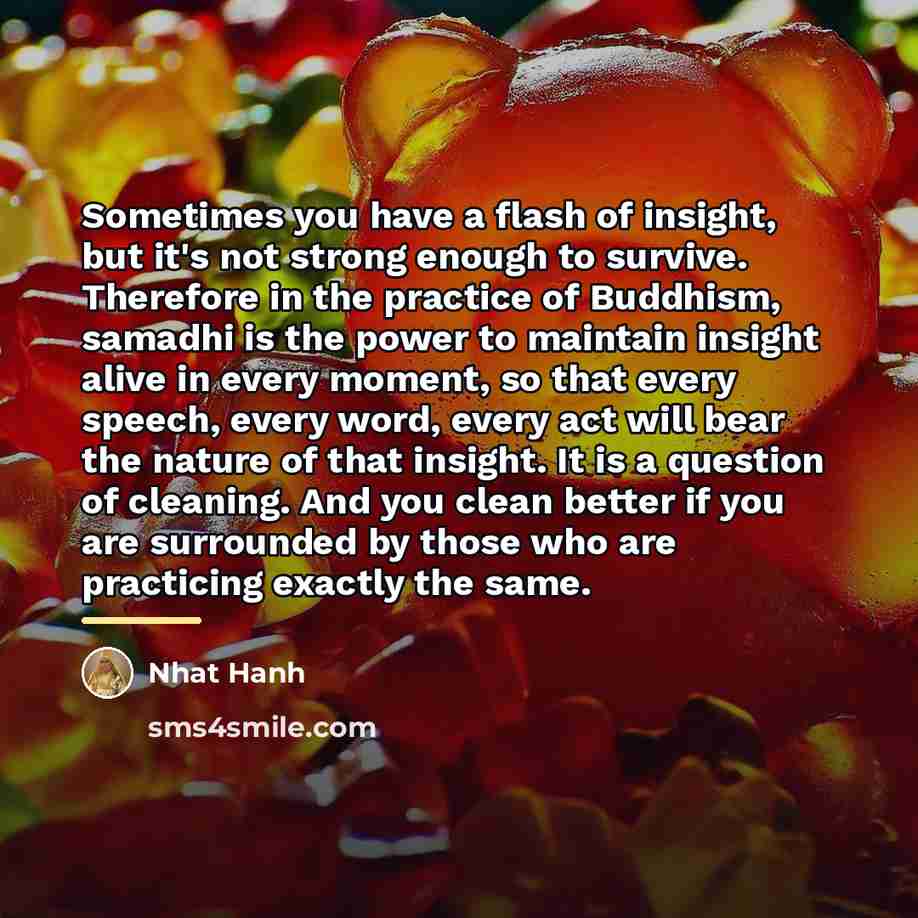“Sometimes you have a flash of insight, but it's not…” quote by Nhat Hanh