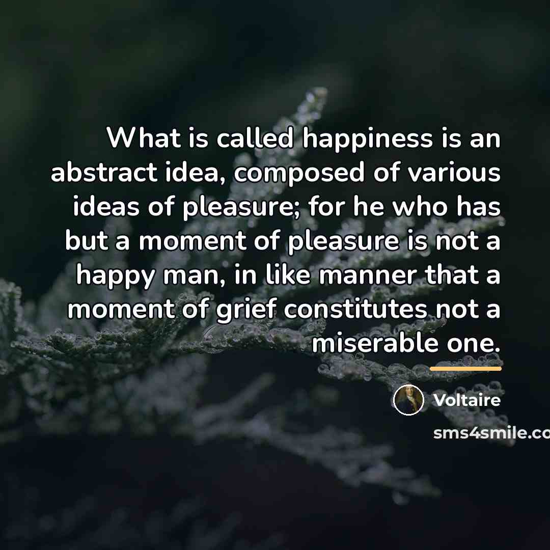 “What is called happiness is an abstract idea, composed of…” quote by Voltaire