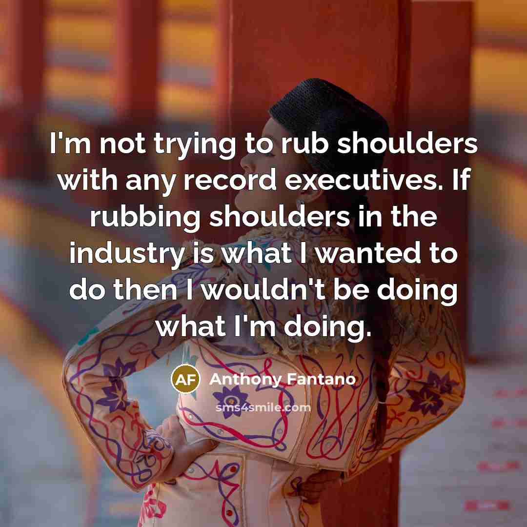“I'm not trying to rub shoulders with any record executives.…” quote by Anthony Fantano