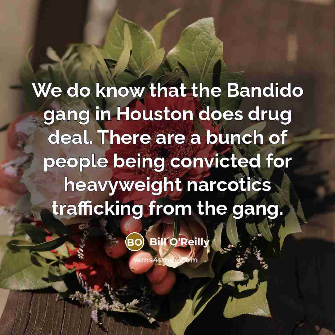 “We do know that the Bandido gang in Houston does…” quote by Bill O'Reilly