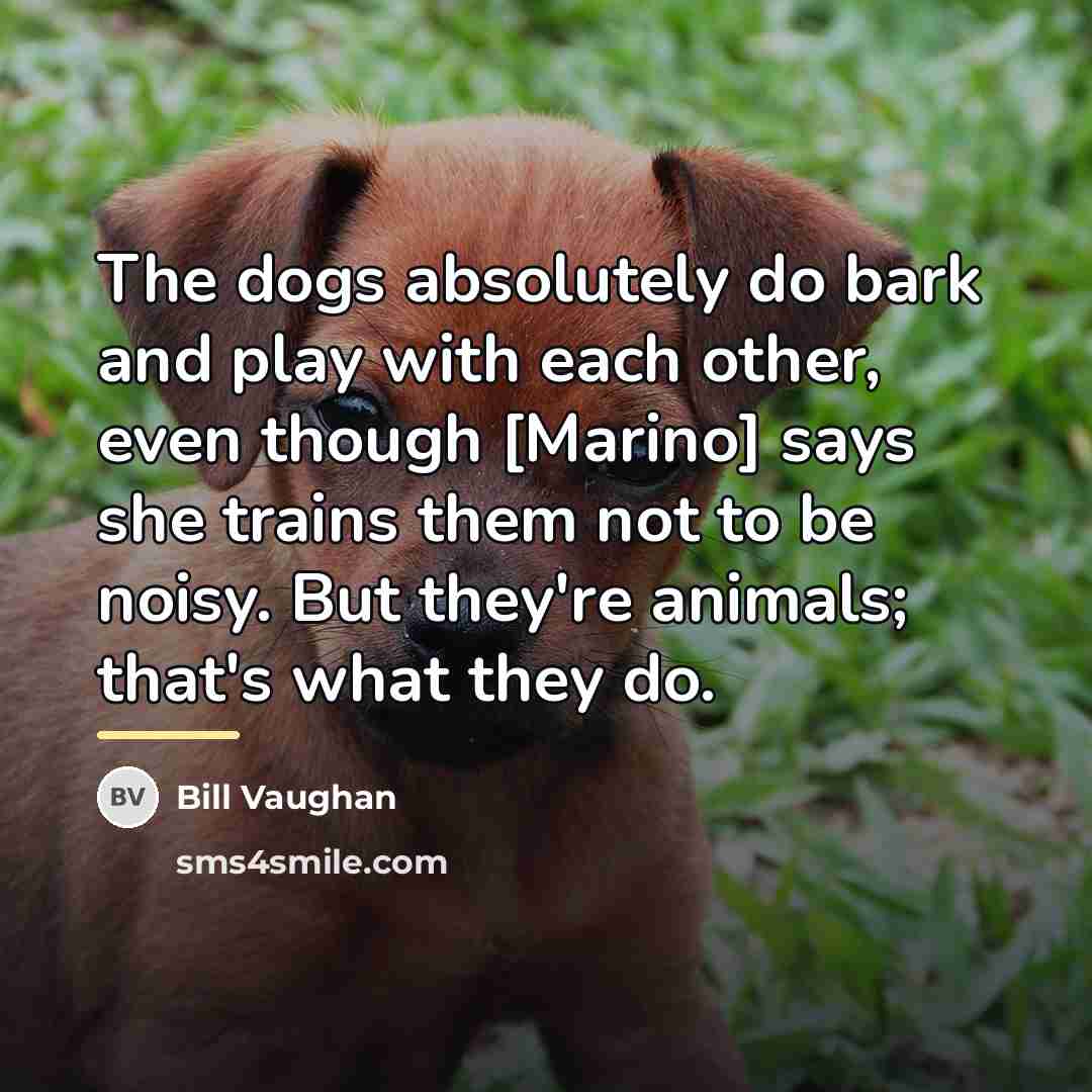 “The dogs absolutely do bark and play with each other,…” quote by Bill Vaughan