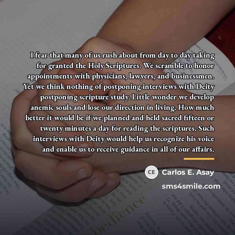 “I fear that many of us rush about from day…” quote by Carlos E. Asay