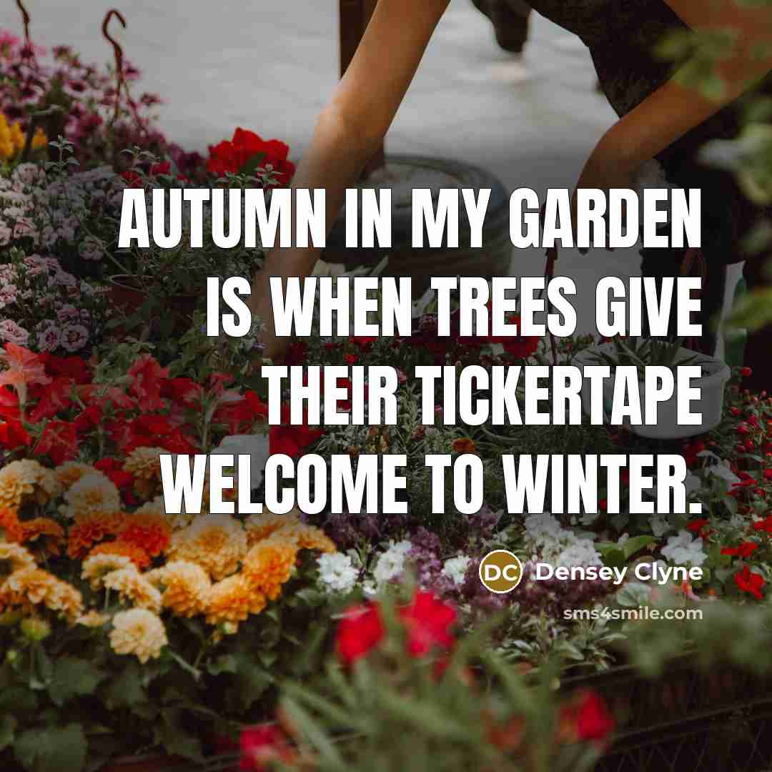 “Autumn in my garden is when trees give their tickertape…” quote by Densey Clyne