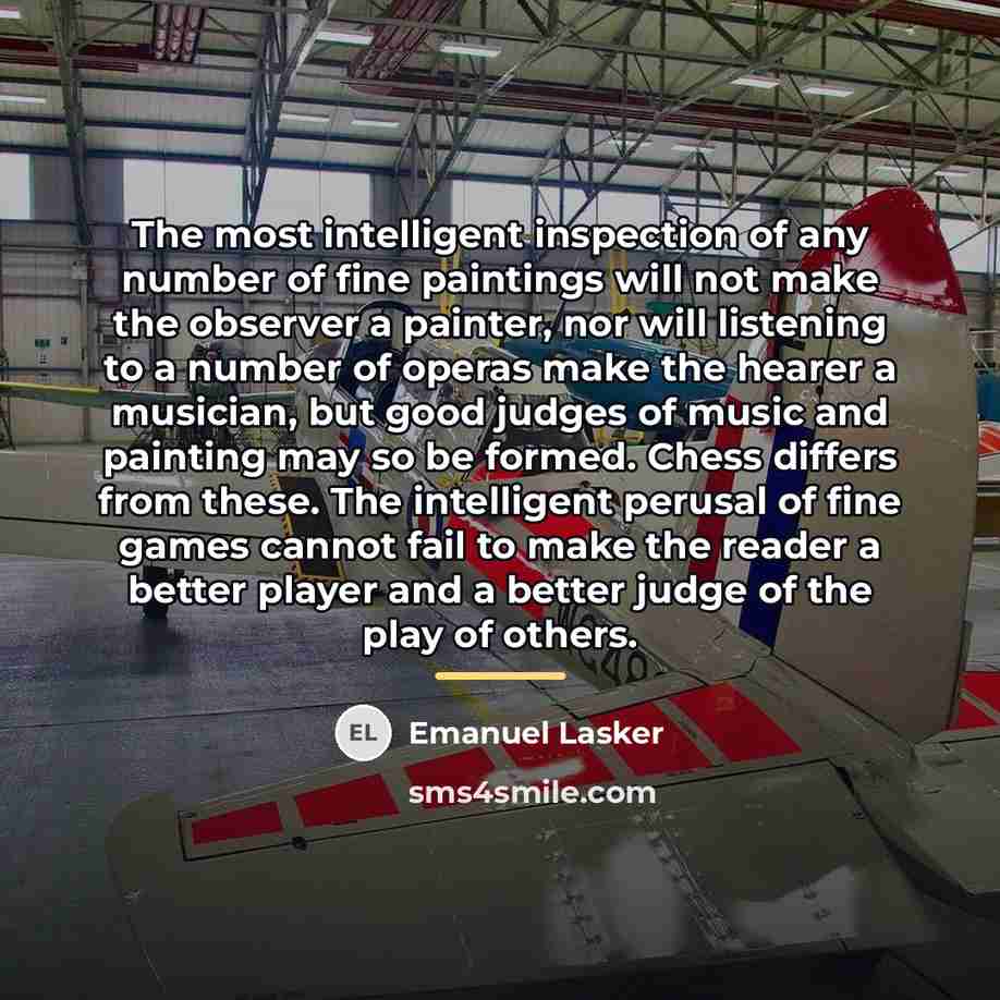 “The most intelligent inspection of any number of fine paintings…” quote by Emanuel Lasker