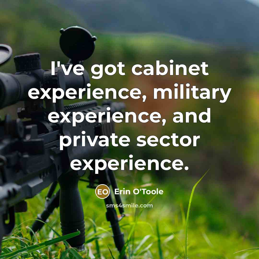 “I've got cabinet experience, military experience, and private sector experience.…” quote by Erin O'Toole