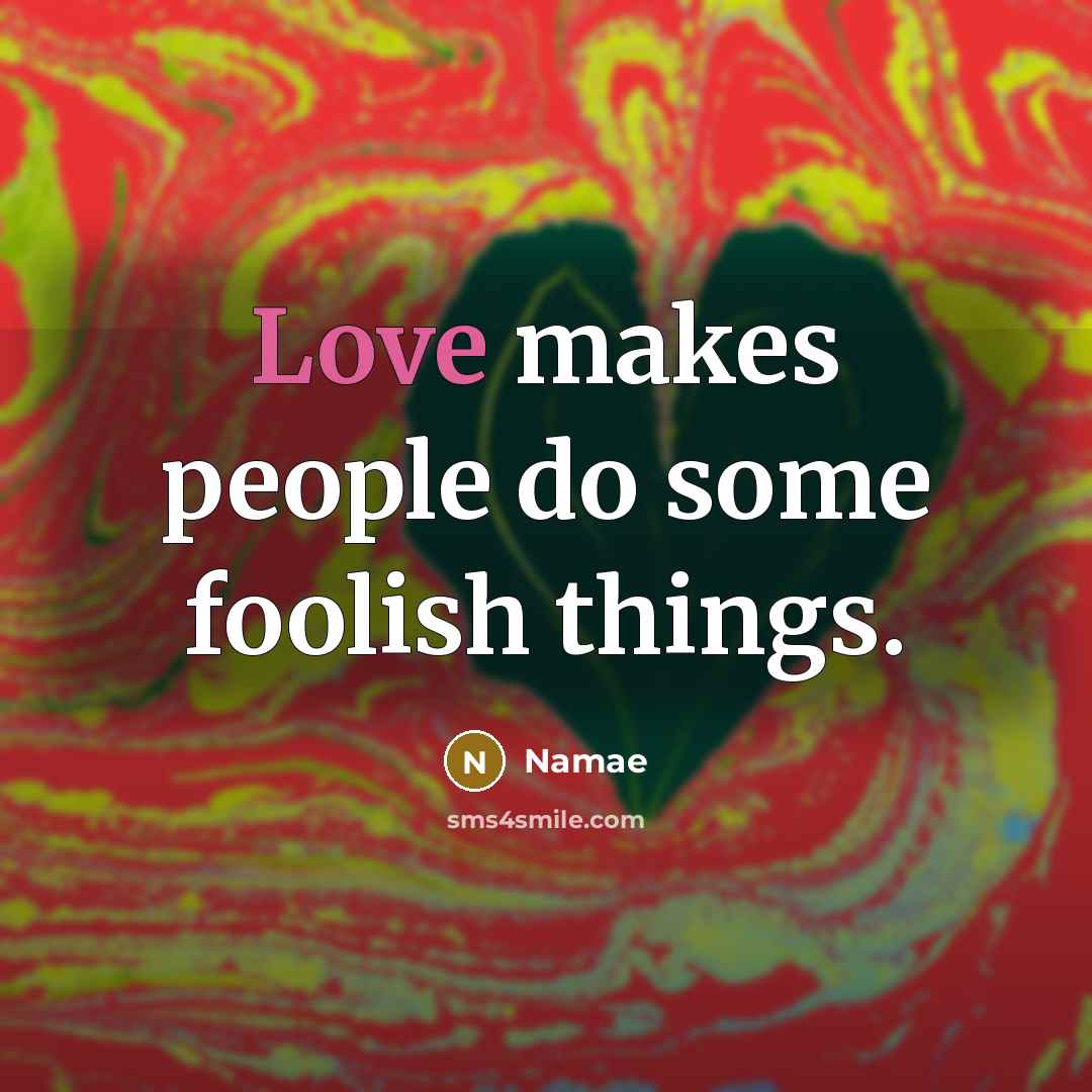 “Love makes people do some foolish things.…” quote by Namae