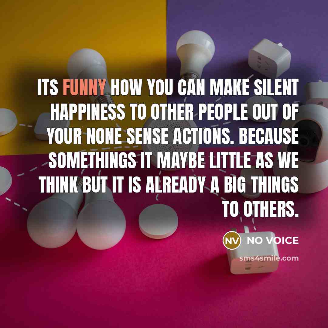 “ITS FUNNY HOW YOU CAN MAKE SILENT HAPPINESS TO OTHER…” quote by NO VOICE