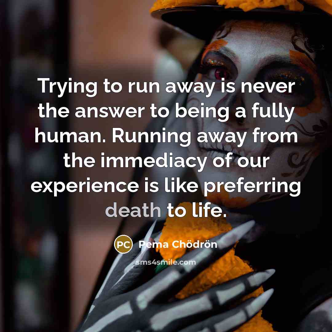 “Trying to run away is never the answer to being…” quote by Pema Chodron