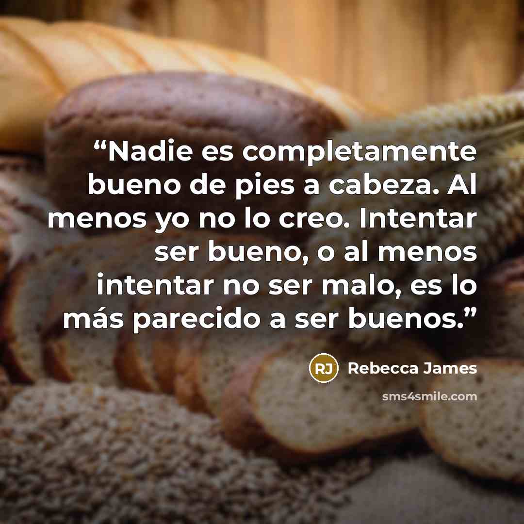 “Nadie es completamente bueno de pies a cabeza. Al menos yo no lo creo. Intentar ser bueno, o al menos intentar no ser malo, es lo más parecido a ser buenos.” quote by Rebecca James