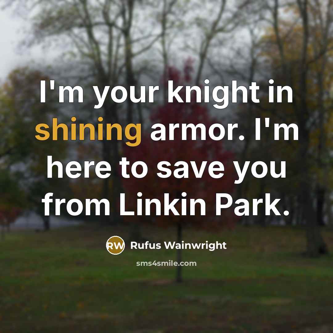 “I'm your knight in shining armor. I'm here to save…” quote by Rufus Wainwright
