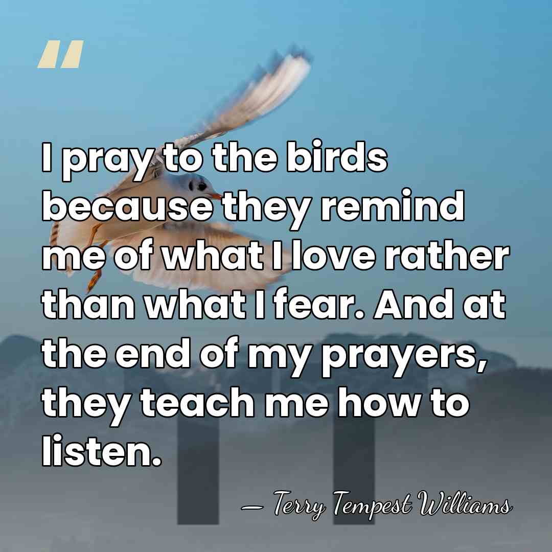 I pray to the birds because they remind me of what I&hellip; - Terry Tempest Williams