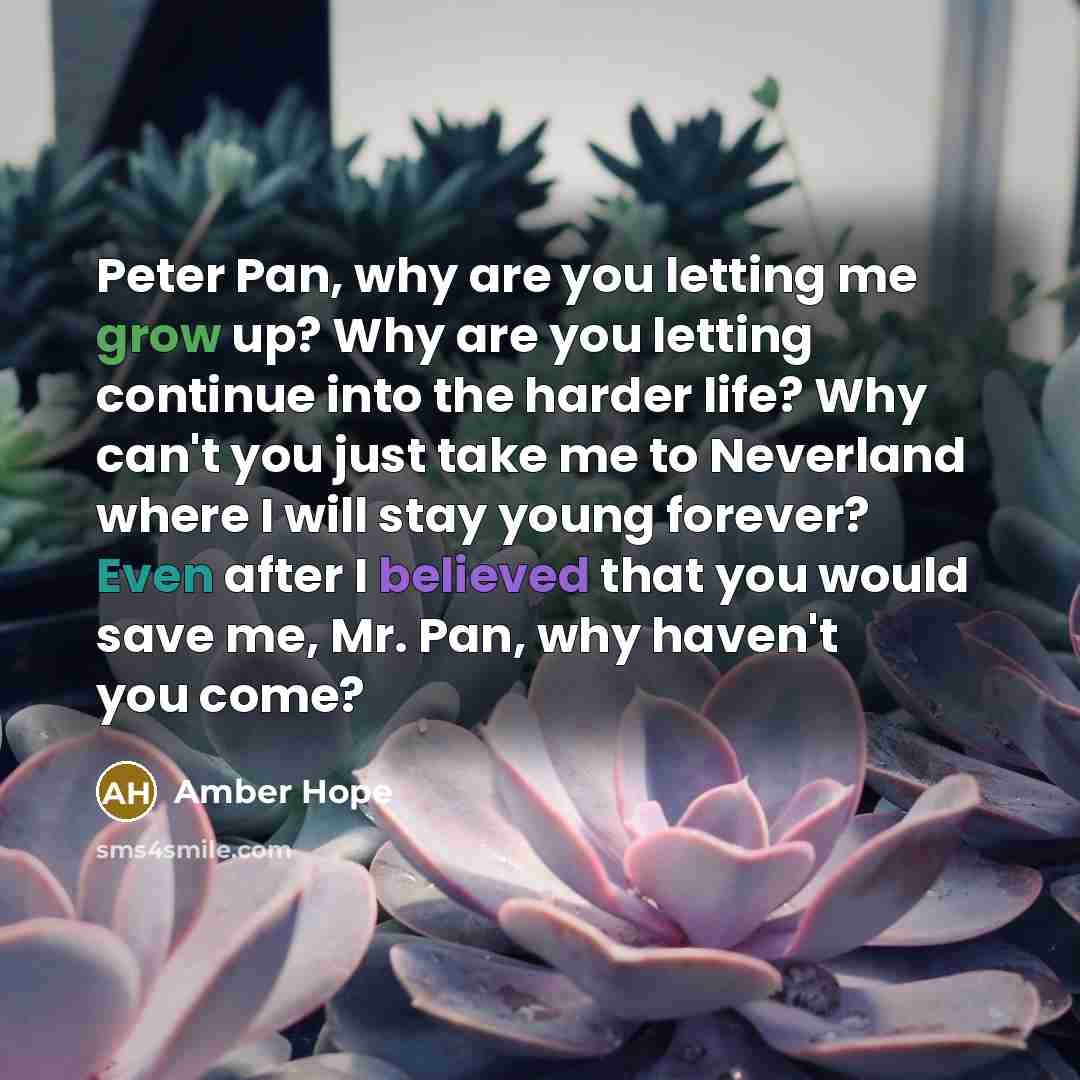 “Peter Pan, why are you letting me grow up? Why are you letting continue into the harder life? Why can't you just take me to Neverland where I will stay young forever? Even after I believed that you would save me, Mr. Pan, why haven't you come?” quote by Amber Hope