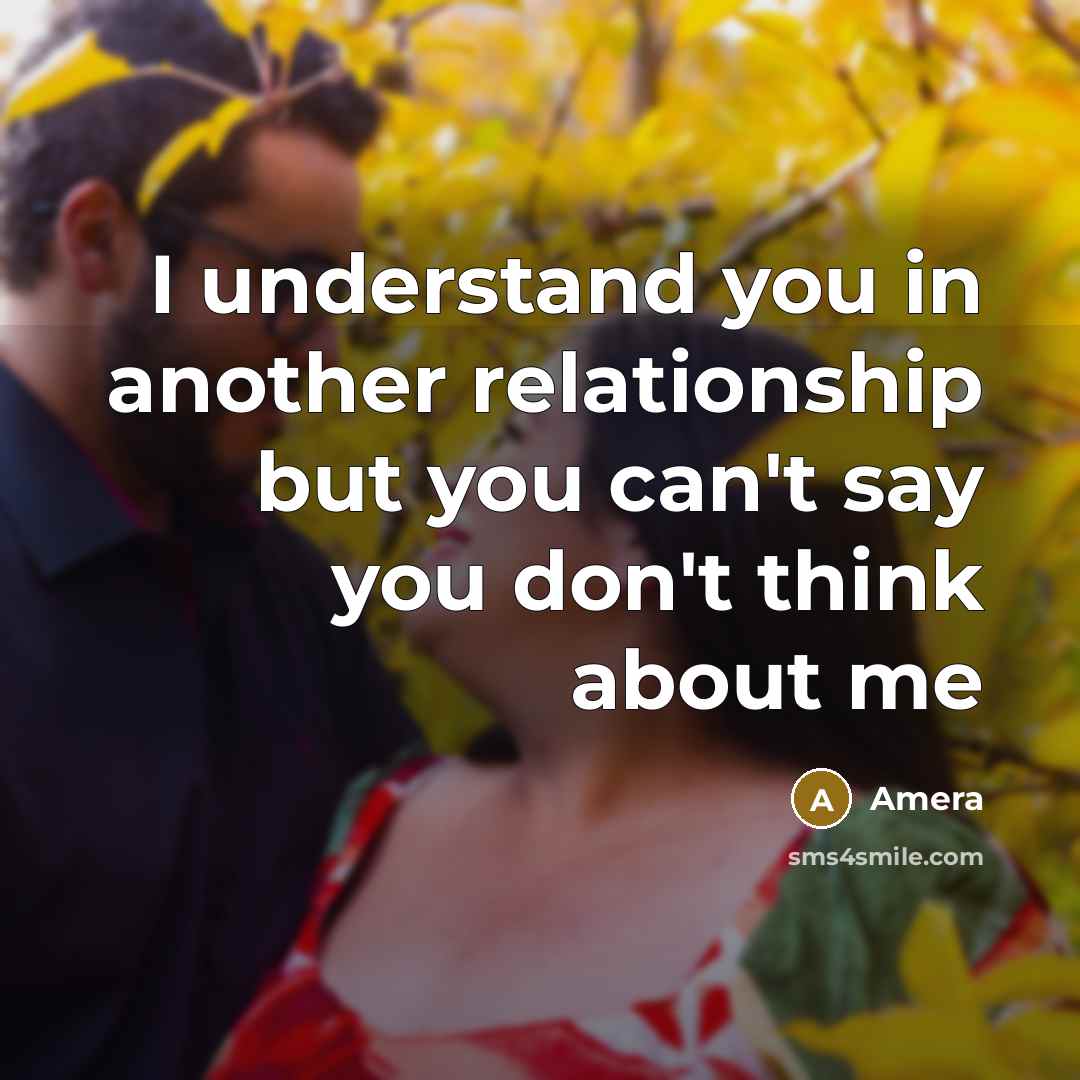 “I understand you in another relationship but you can't say…” quote by Amera
