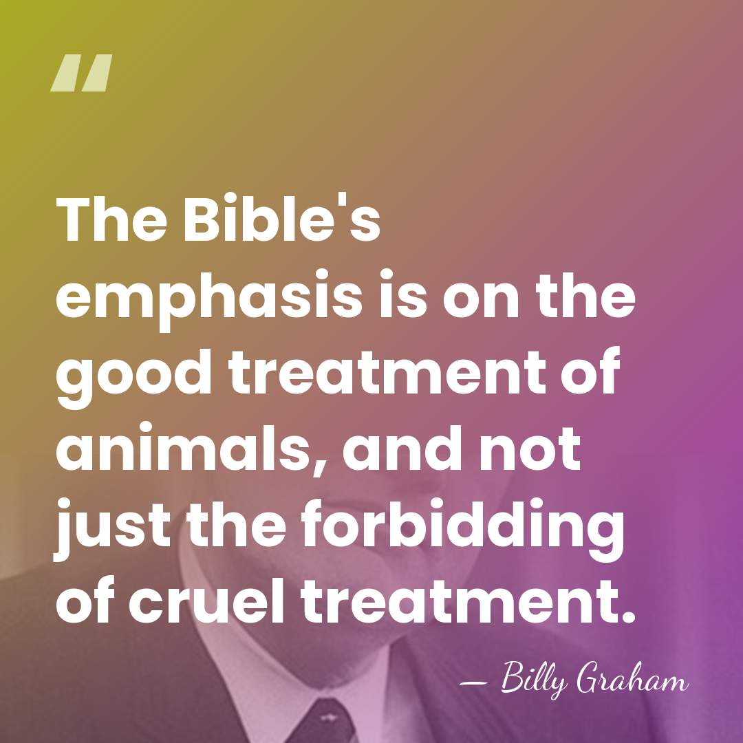 The Bible's emphasis is on the good treatment of animals, and not&hellip; - Billy Graham