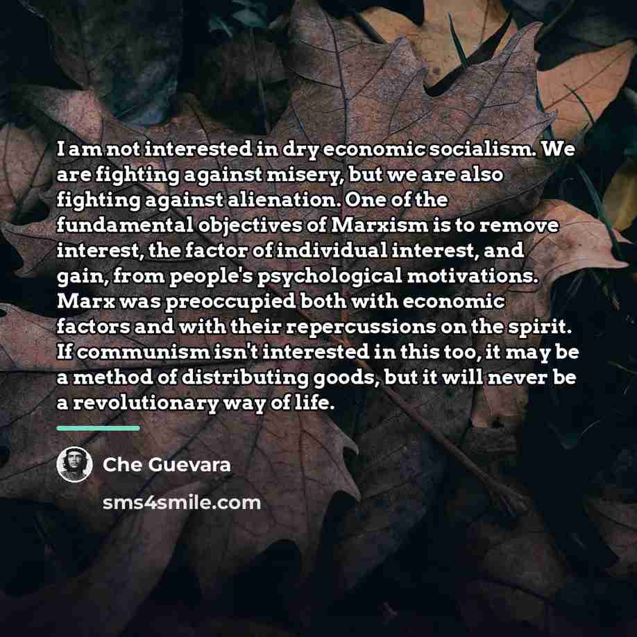 “I am not interested in dry economic socialism. We are…” quote by Che Guevara