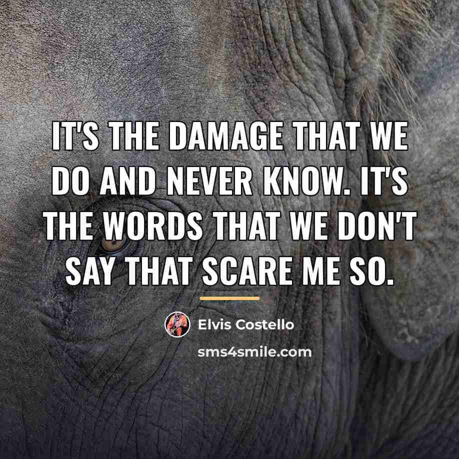 “It's the damage that we do and never know. It's…” quote by Elvis Costello