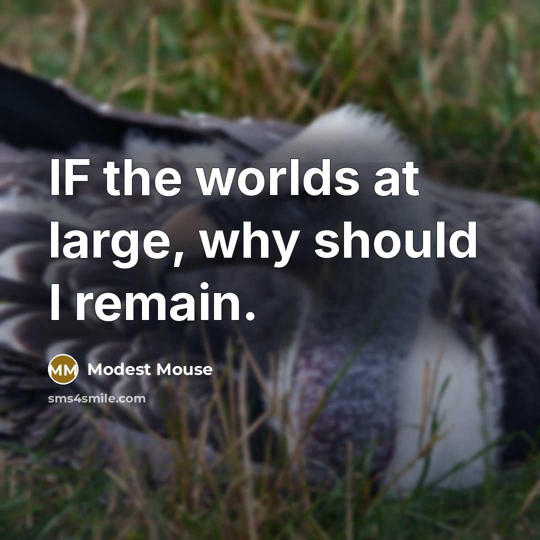 “IF the worlds at large, why should I remain.…” quote by Modest Mouse
