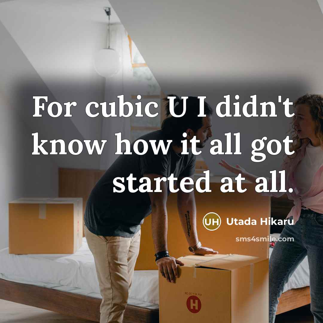 “For cubic U I didn't know how it all got…” quote by Utada Hikaru