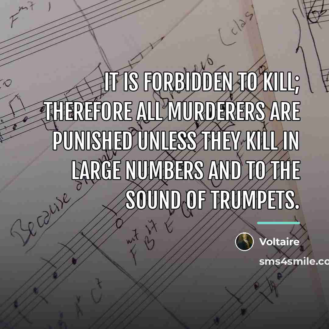 “It is forbidden to kill; therefore all murderers are punished…” quote by Voltaire