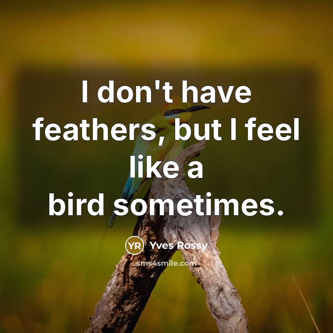 “I don't have feathers, but I feel like a bird…” quote by Yves Rossy