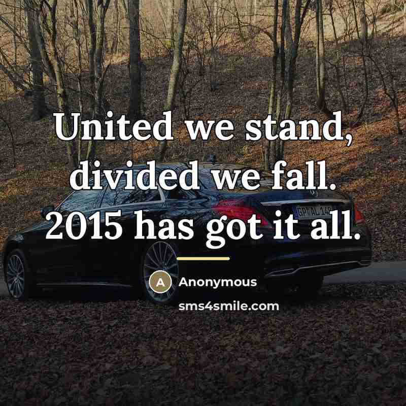 “United we stand, divided we fall. 2015 has got it…” quote by Anonymous
