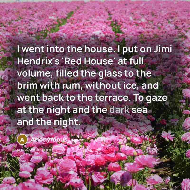 “I went into the house. I put on Jimi Hendrix's…” quote by Anonymous