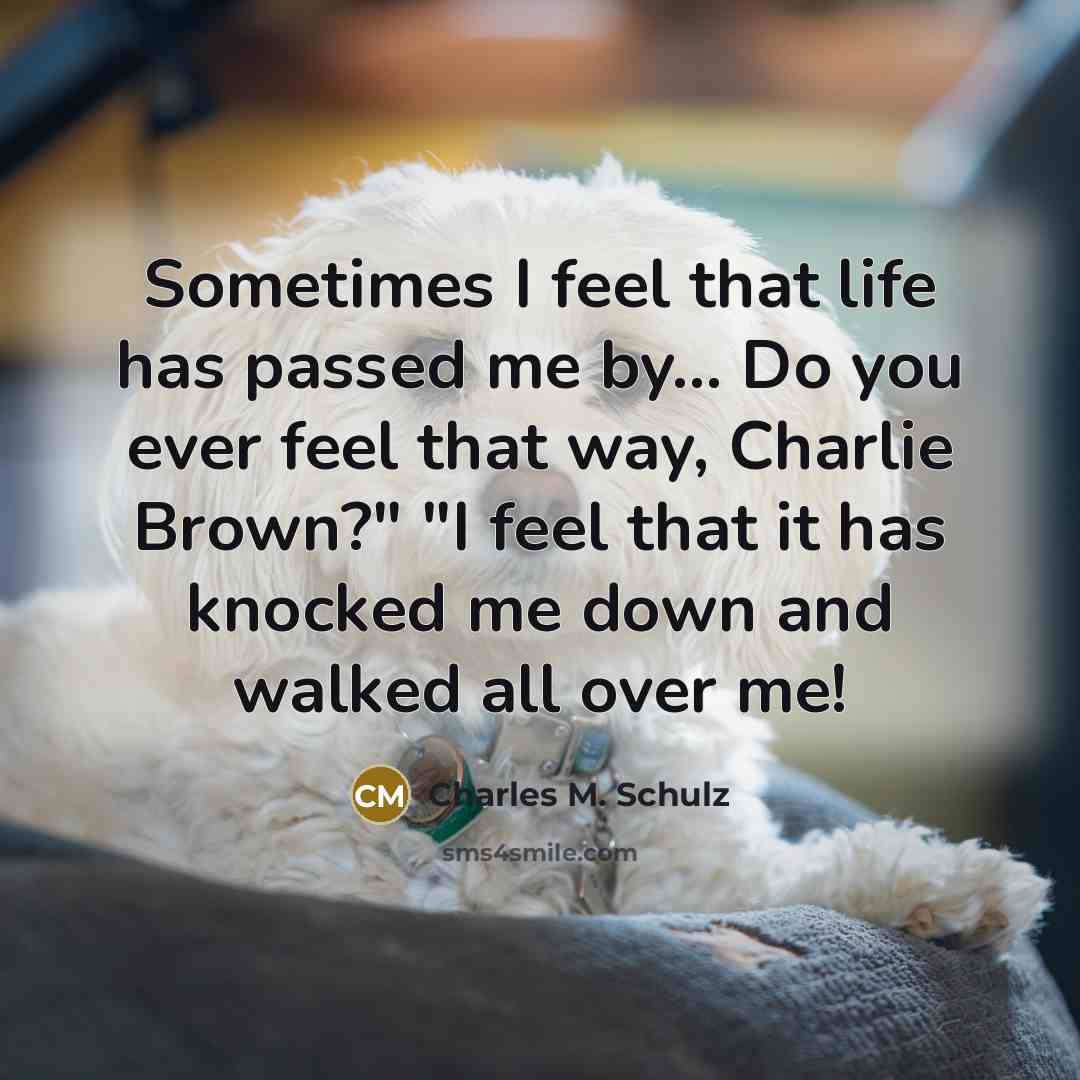 “Sometimes I feel that life has passed me by... Do…” quote by Charles M. Schulz