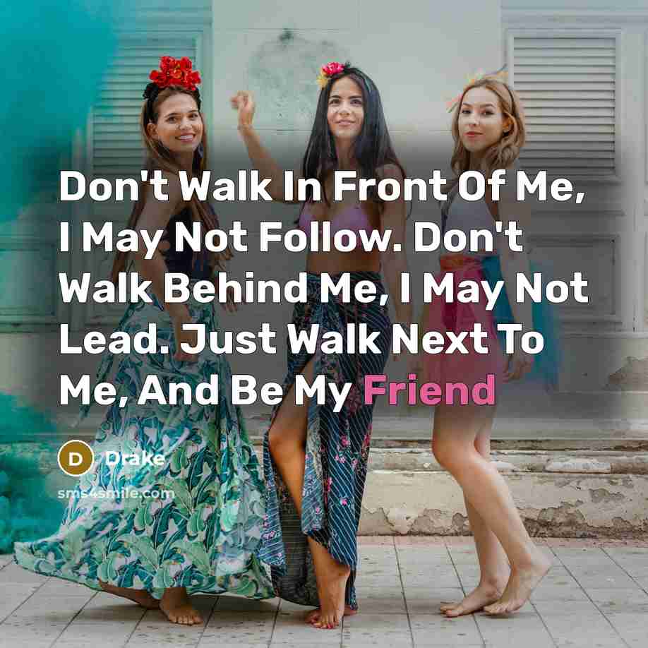“Don't Walk In Front Of Me, I May Not Follow. Don't Walk Behind Me, I May Not Lead. Just Walk Next To Me, And Be My Friend” quote by Drake