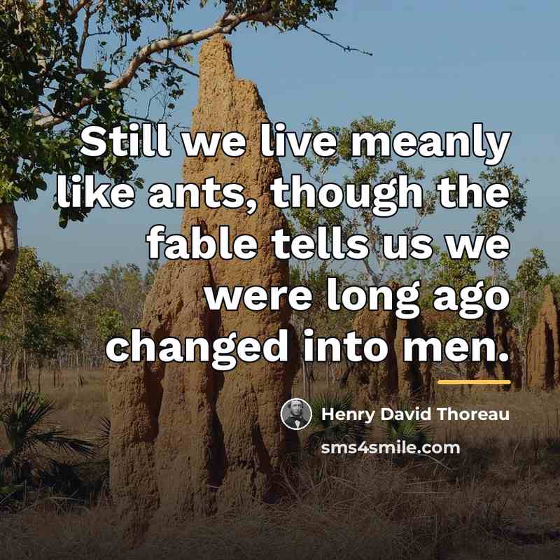 “Still we live meanly like ants, though the fable tells…” quote by Henry David Thoreau