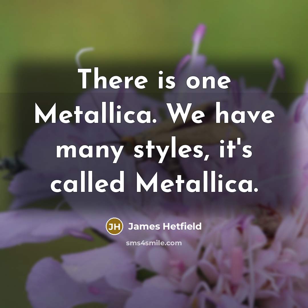 “There is one Metallica. We have many styles, it's called…” quote by James Hetfield