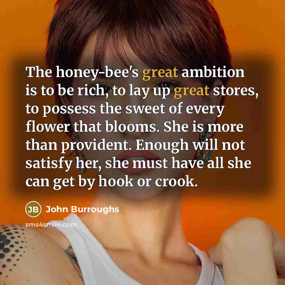 “The honey-bee's great ambition is to be rich, to lay…” quote by John Burroughs