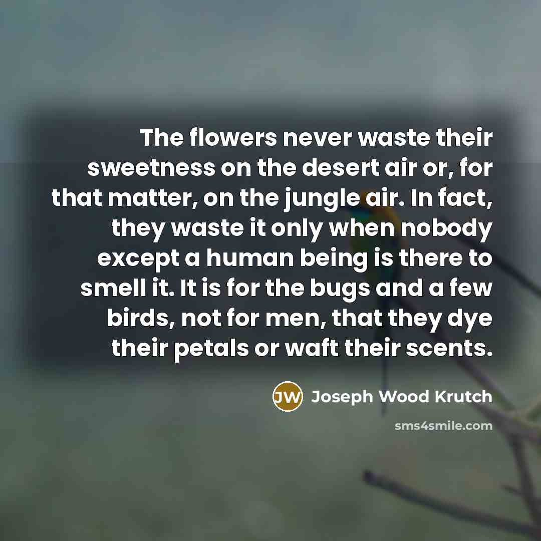 “The flowers never waste their sweetness on the desert air…” quote by Joseph Wood Krutch